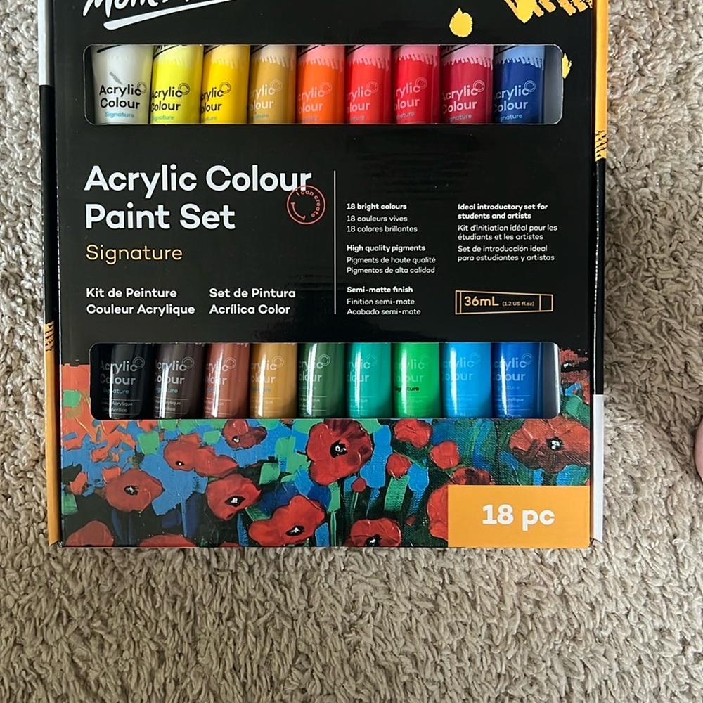 NWT Vibrant Acrylic Painting Set